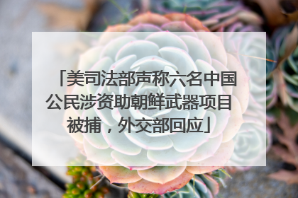 美司法部声称六名中国公民涉资助朝鲜武器项目被捕，外交部回应