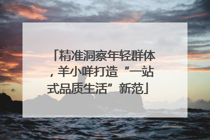 精准洞察年轻群体，羊小咩打造“一站式品质生活”新范