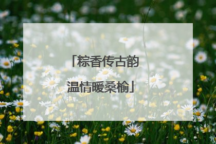 粽香传古韵 温情暖桑榆