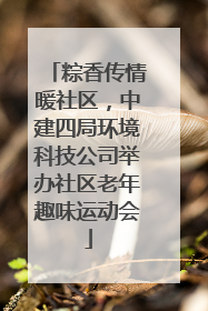 粽香传情暖社区，中建四局环境科技公司举办社区老年趣味运动会