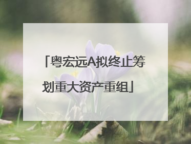 粤宏远A拟终止筹划重大资产重组