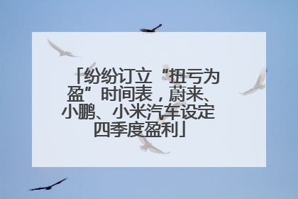 纷纷订立“扭亏为盈”时间表，蔚来、小鹏、小米汽车设定四季度盈利