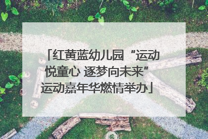 红黄蓝幼儿园“运动悦童心 逐梦向未来”运动嘉年华燃情举办