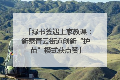绿书签遇上家教课：新泰青云街道创新“护苗”模式获点赞