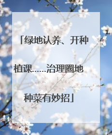 绿地认养、开种植课……治理圈地种菜有妙招