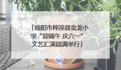 绵阳市梓潼县金龙小学“迎端午 庆六一”文艺汇演圆满举行