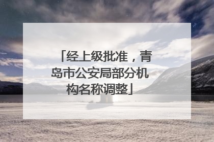 经上级批准，青岛市公安局部分机构名称调整