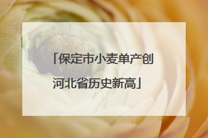 保定市小麦单产创河北省历史新高