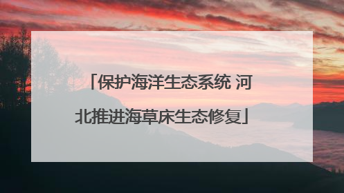 保护海洋生态系统 河北推进海草床生态修复