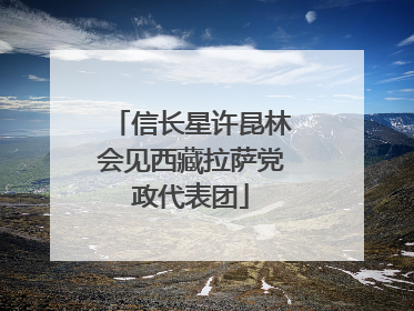 信长星许昆林会见西藏拉萨党政代表团