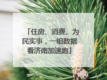 住房、消费、为民实事，一组数据看济南加速跑