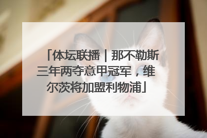 体坛联播｜那不勒斯三年两夺意甲冠军，维尔茨将加盟利物浦