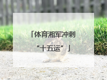 体育湘军冲刺“十五运”