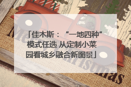 佳木斯：“一地四种” 模式任选 从定制小菜园看城乡融合新图景
