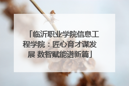 临沂职业学院信息工程学院：匠心育才谋发展 数智赋能谱新篇