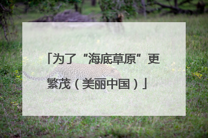 为了“海底草原”更繁茂（美丽中国）