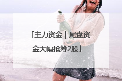 主力资金｜尾盘资金大幅抢筹2股