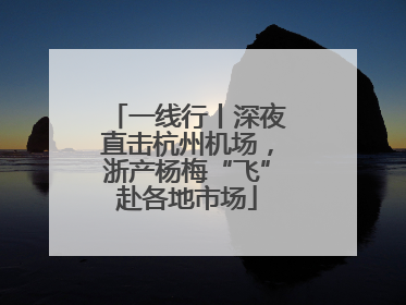 一线行丨深夜直击杭州机场，浙产杨梅“飞”赴各地市场
