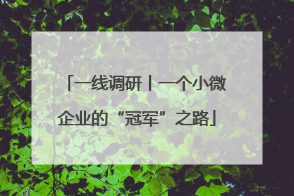 一线调研丨一个小微企业的“冠军”之路
