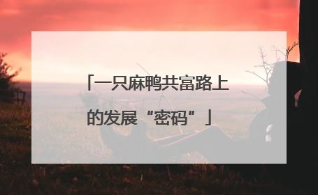 一只麻鸭共富路上的发展“密码”