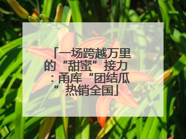 一场跨越万里的“甜蜜”接力：甬库“团结瓜”热销全国