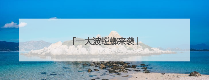 一大波螳螂来袭