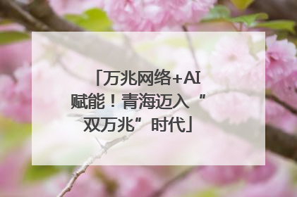 万兆网络+AI赋能！青海迈入“双万兆”时代