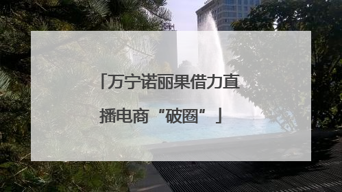 万宁诺丽果借力直播电商“破圈”
