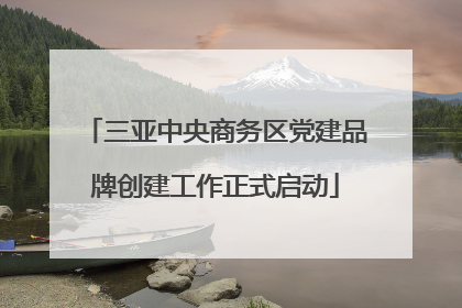 三亚中央商务区党建品牌创建工作正式启动
