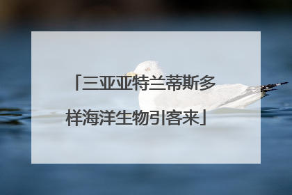 三亚亚特兰蒂斯多样海洋生物引客来