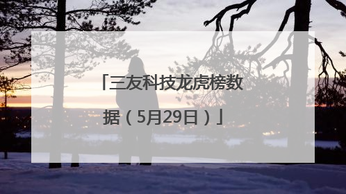 三友科技龙虎榜数据（5月29日）