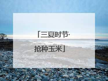 三夏时节·抢种玉米