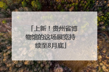 上新！贵州省博物馆的这场展览持续至8月底