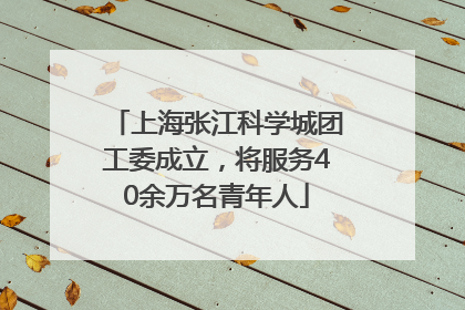 上海张江科学城团工委成立，将服务40余万名青年人