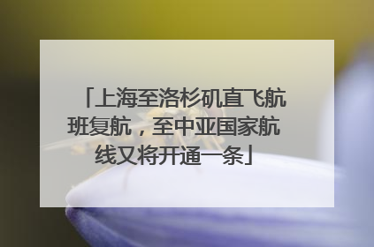 上海至洛杉矶直飞航班复航，至中亚国家航线又将开通一条