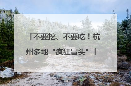 不要挖、不要吃！杭州多地“疯狂冒头”