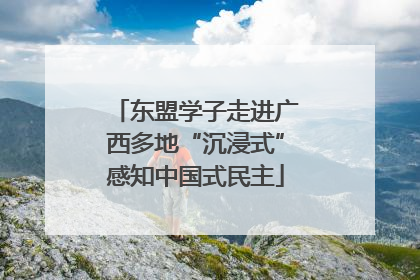 东盟学子走进广西多地“沉浸式”感知中国式民主