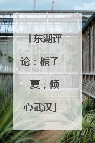 东湖评论：栀子一夏，倾心武汉