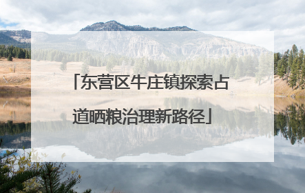 东营区牛庄镇探索占道晒粮治理新路径