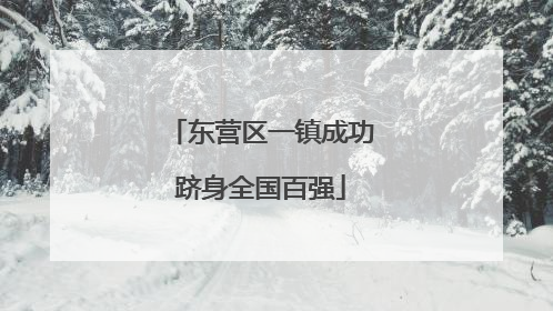 东营区一镇成功跻身全国百强