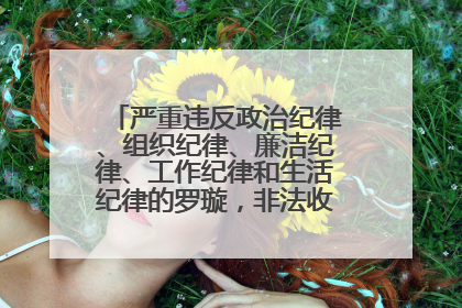 严重违反政治纪律、组织纪律、廉洁纪律、工作纪律和生活纪律的罗璇，非法收受他人巨额财物