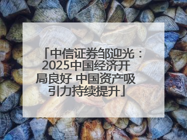 中信证券邹迎光：2025中国经济开局良好 中国资产吸引力持续提升