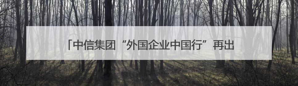 中信集团“外国企业中国行”再出发，超200家日资企业走进广东