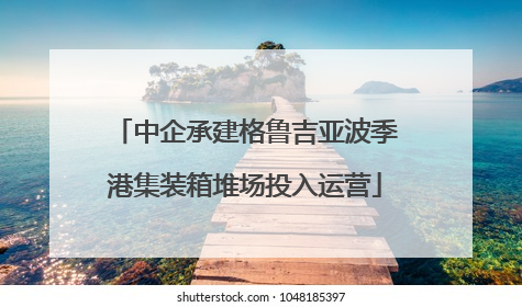 中企承建格鲁吉亚波季港集装箱堆场投入运营