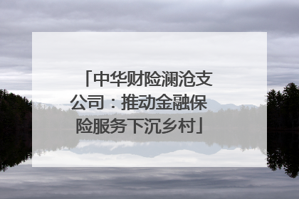 中华财险澜沧支公司：推动金融保险服务下沉乡村