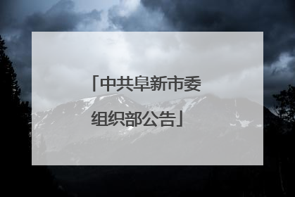 中共阜新市委组织部公告