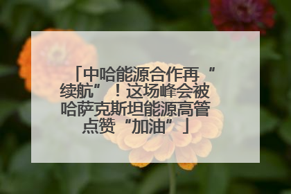 中哈能源合作再“续航”！这场峰会被哈萨克斯坦能源高管点赞“加油”