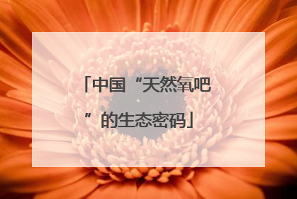 中国“天然氧吧”的生态密码