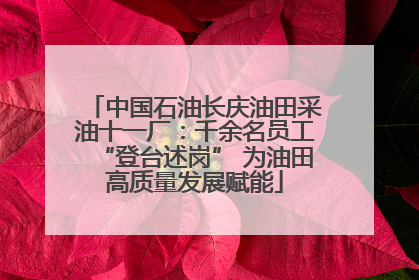 中国石油长庆油田采油十一厂：千余名员工“登台述岗” 为油田高质量发展赋能