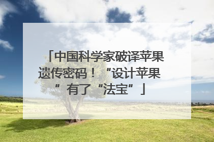 中国科学家破译苹果遗传密码！“设计苹果”有了“法宝”